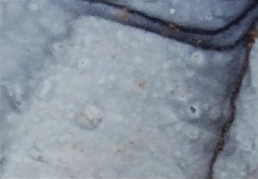 Modern Islamic Home Decor-Iqra-Thuluth-Giclée Fine Art Print - arabcanvasstore