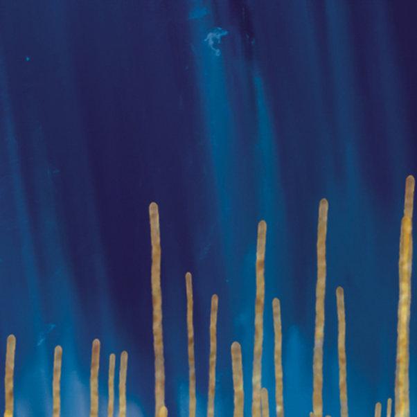 Modern Islamic Wall Art-Dhikr(Zikr) Tasbeeh-Thuluth-Giclée Fine Art Print - arabcanvasstore